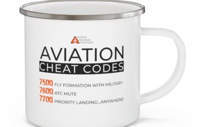 Aviation Cheat Codes — Enamel Camping Mug
